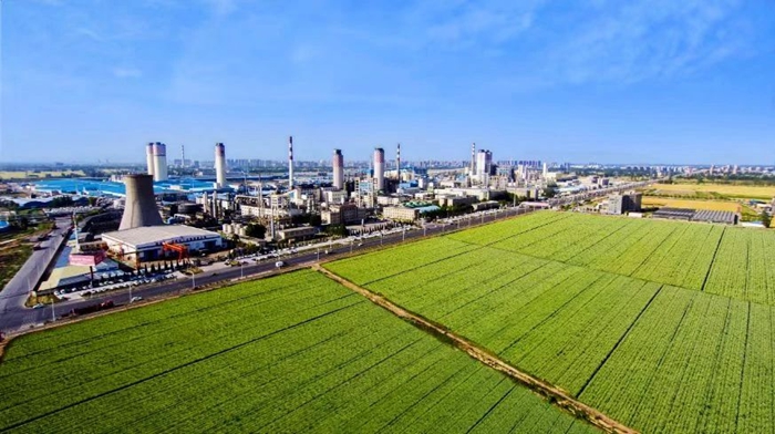 1750902529046031151.jpg 图片4.jpg