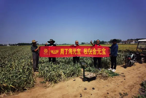 640.webp (11).png 微信图片_20250605153540